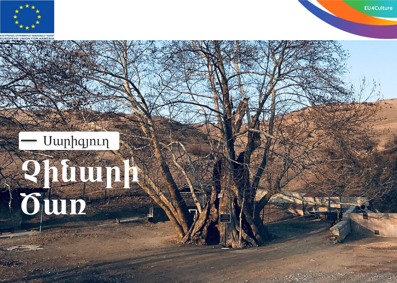 Tavush Media tavush-media
